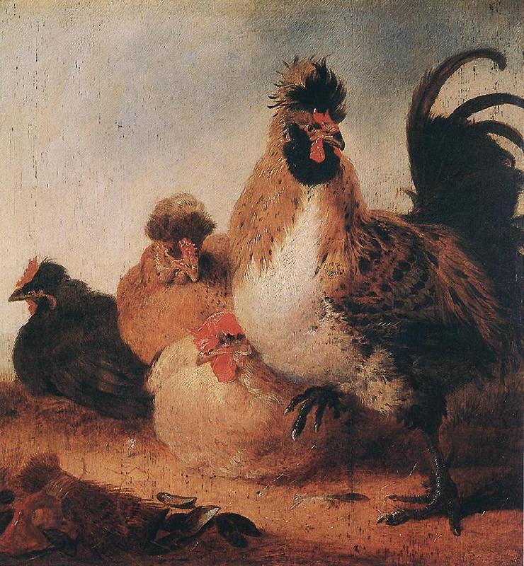 CUYP, Aelbert Rooster and Hens dfg China oil painting art